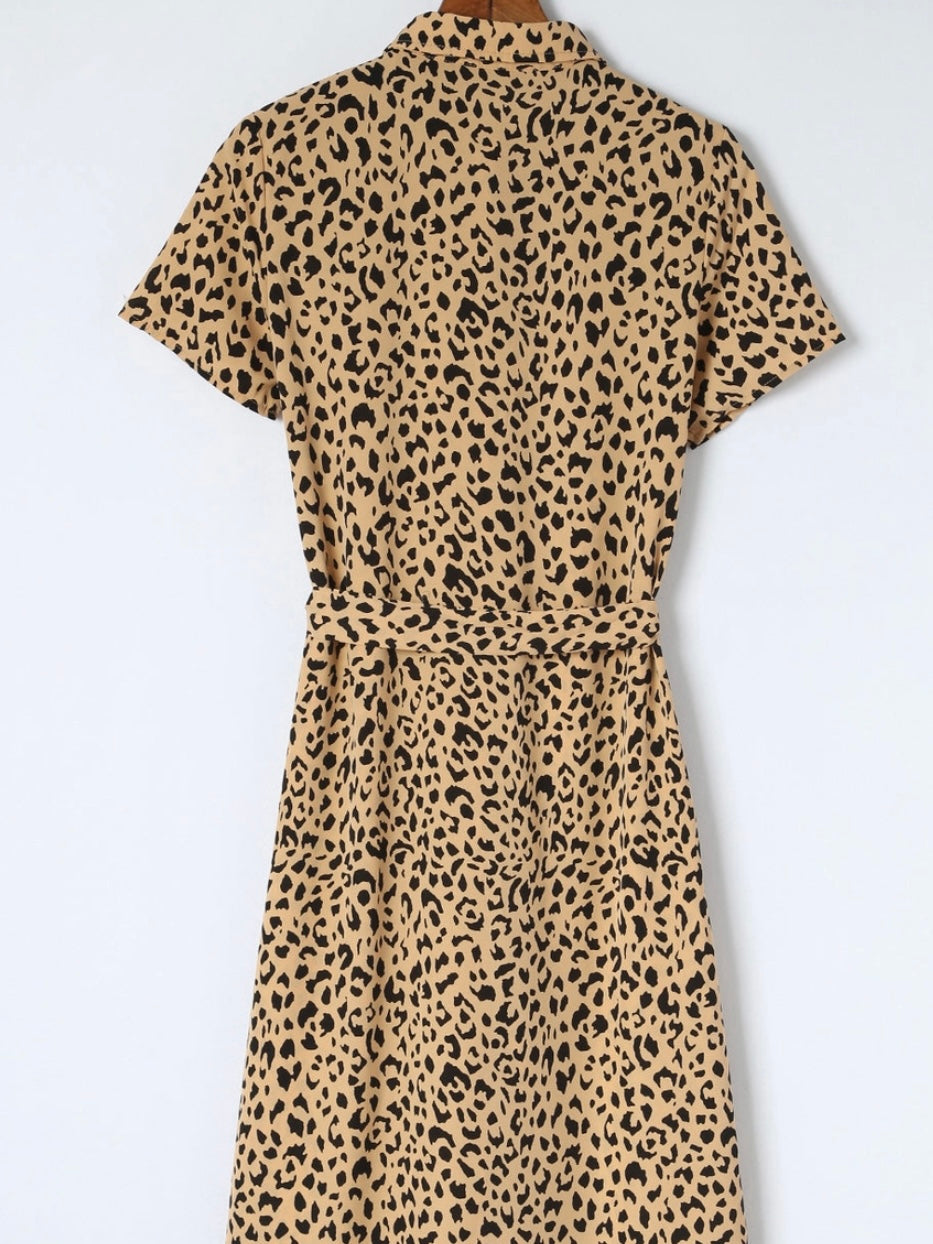 Spotted Button Down Dress Spotted Button Down Dress